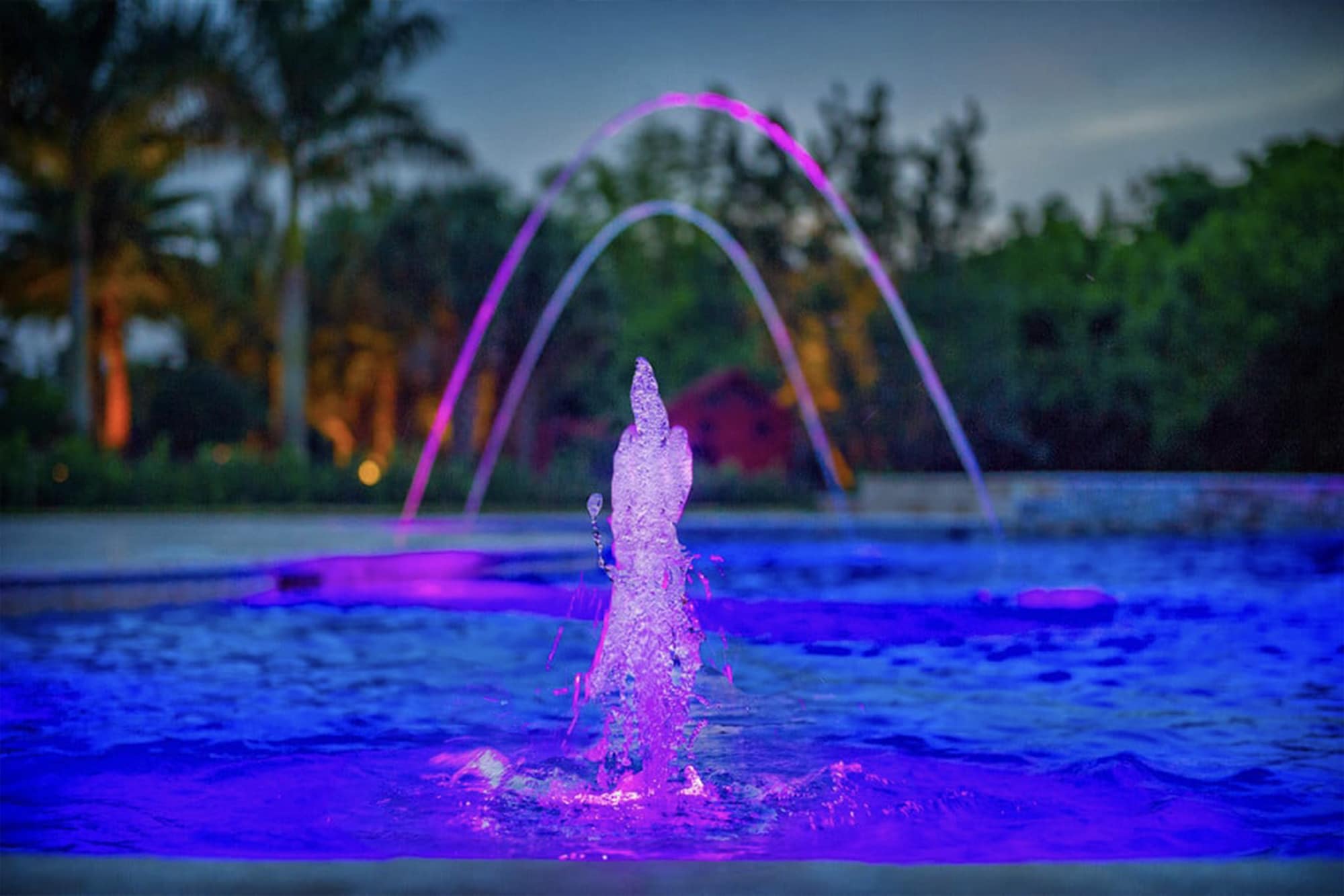 Luxurious backyard pool with fountain jets and lake view under a sunny sky, surrounded by lush greenery and palm trees.